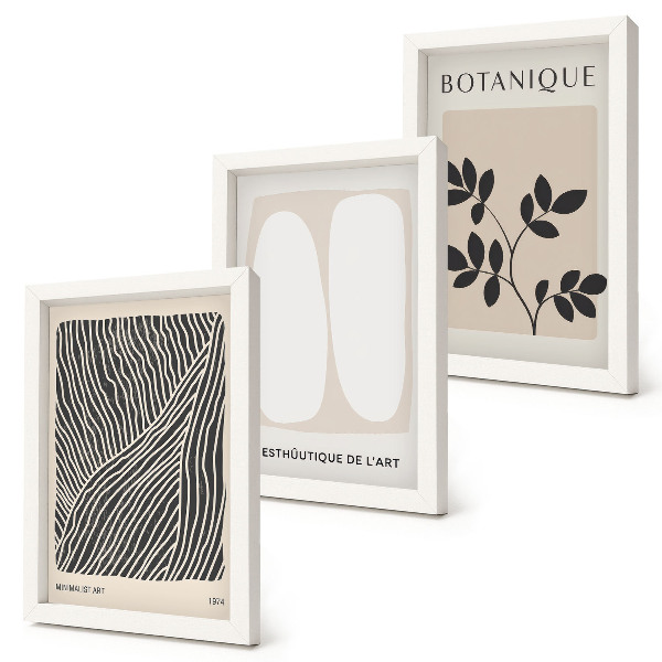 Conjunto de 3 quadros decorativos Estampas florais e linhas minimalistas em tons neutros.