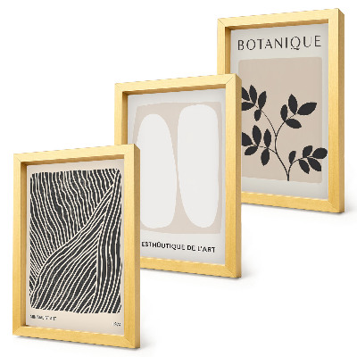 Conjunto de 3 quadros decorativos Estampas florais e linhas minimalistas em tons neutros.