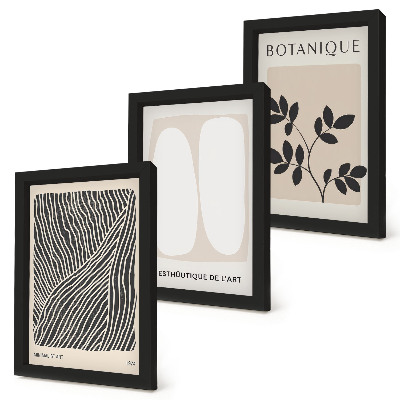 Conjunto de 3 quadros decorativos Estampas florais e linhas minimalistas em tons neutros.