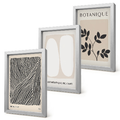 Conjunto de 3 quadros decorativos Estampas florais e linhas minimalistas em tons neutros.