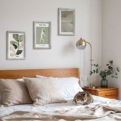 Conjunto de molduras com imagens Padrões de plantas com silhuetas e formas abstratas