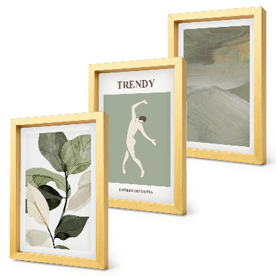Conjunto de molduras com imagens Padrões de plantas com silhuetas e formas abstratas