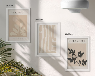 Conjunto de molduras com imagens Estampas elegantes de plantas em tons de bege e preto.