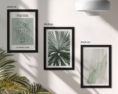 Conjunto de molduras com imagens Padrões de plantas em tons de verde e bege