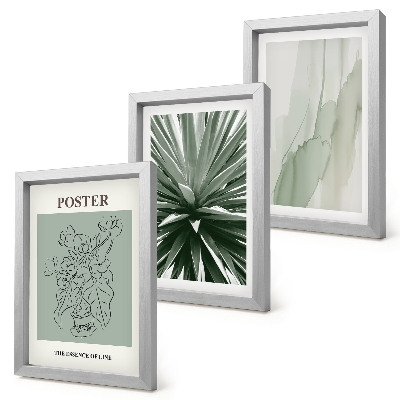Conjunto de molduras com imagens Padrões de plantas em tons de verde e bege