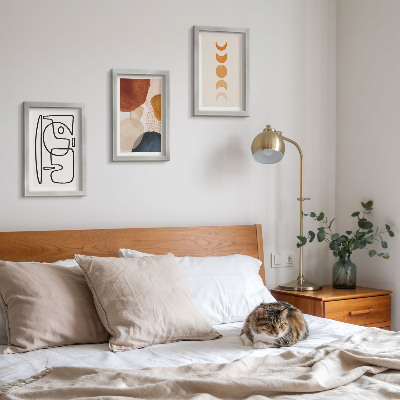 Conjunto de molduras com imagens Decorações da moda com formas e cores abstratas