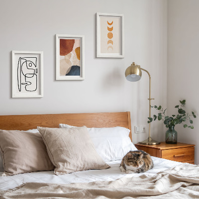 Conjunto de molduras com imagens Decorações da moda com formas e cores abstratas