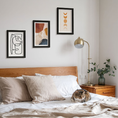 Conjunto de molduras com imagens Decorações da moda com formas e cores abstratas