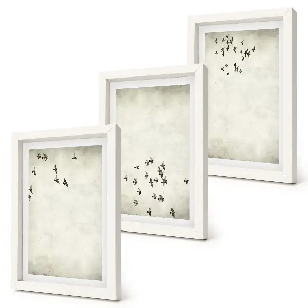 Conjunto de 3 quadros decorativos pintura minimalista de pássaros voando