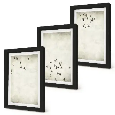 Conjunto de 3 quadros decorativos pintura minimalista de pássaros voando