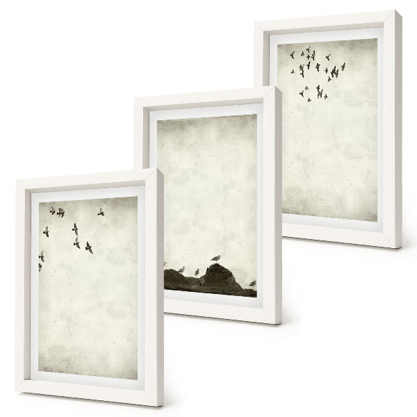 Conjunto de molduras com imagens bando de pássaros voando em estilo minimalista