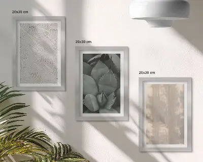 Conjunto de molduras com imagens texturas de verão em close-up com clima tropical