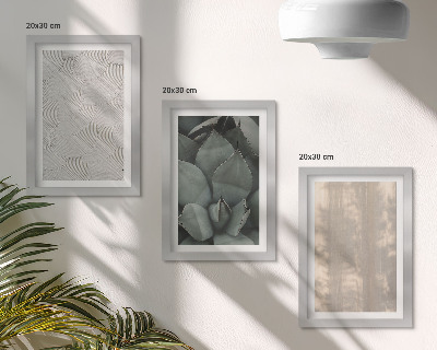 Conjunto de molduras com imagens Texturas de verão em close-up em um clima tropical