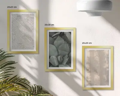 Conjunto de molduras com imagens texturas de verão em close-up com clima tropical