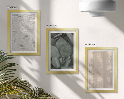 Conjunto de molduras com imagens Texturas de verão em close-up em um clima tropical