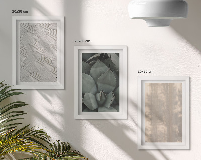 Conjunto de molduras com imagens Texturas de verão em close-up em um clima tropical