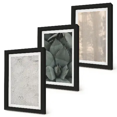 Conjunto de molduras com imagens texturas de verão em close-up com clima tropical