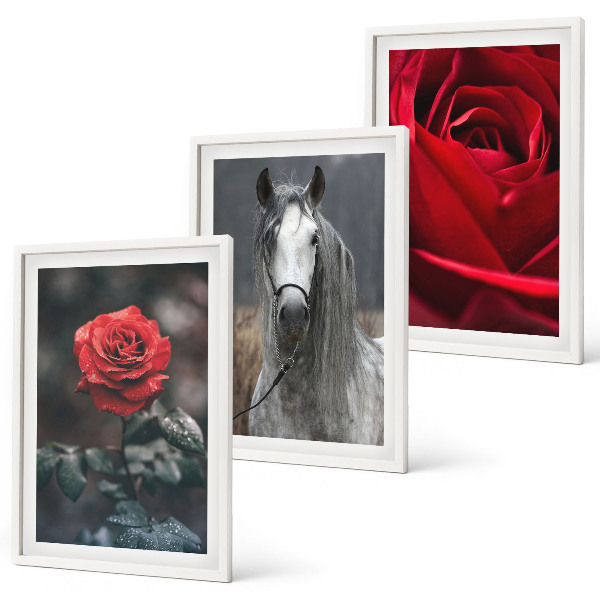 Conjunto de 3 quadros com moldura Rosas vermelhas cavalo cinza mundo