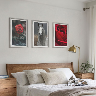 Conjunto de 3 quadros com moldura Rosas vermelhas cavalo cinza mundo