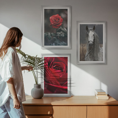 Conjunto de 3 quadros com moldura Rosas vermelhas cavalo cinza mundo