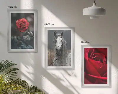 Conjunto de 3 quadros com moldura estampa de rosas vermelhas e cavalo cinza em um mundo