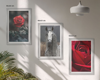 Conjunto de 3 quadros com moldura Rosas vermelhas cavalo cinza mundo