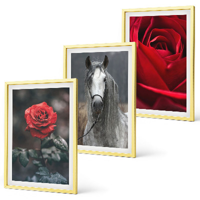 Conjunto de 3 quadros com moldura Rosas vermelhas cavalo cinza mundo