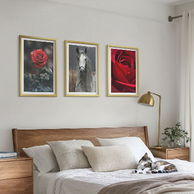 Conjunto de 3 quadros com moldura Rosas vermelhas cavalo cinza mundo