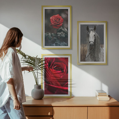 Conjunto de 3 quadros com moldura Rosas vermelhas cavalo cinza mundo