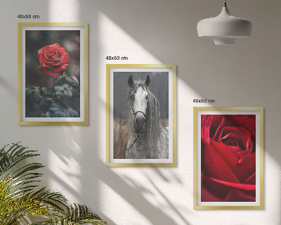 Conjunto de 3 quadros com moldura Rosas vermelhas cavalo cinza mundo