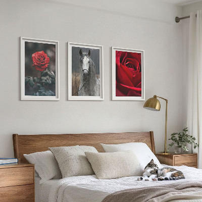 Conjunto de 3 quadros com moldura Rosas vermelhas cavalo cinza mundo