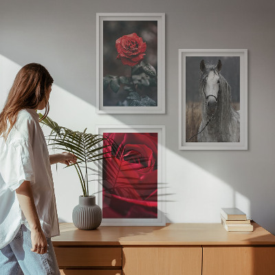 Conjunto de 3 quadros com moldura Rosas vermelhas cavalo cinza mundo