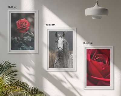 Conjunto de 3 quadros com moldura Rosas vermelhas cavalo cinza mundo