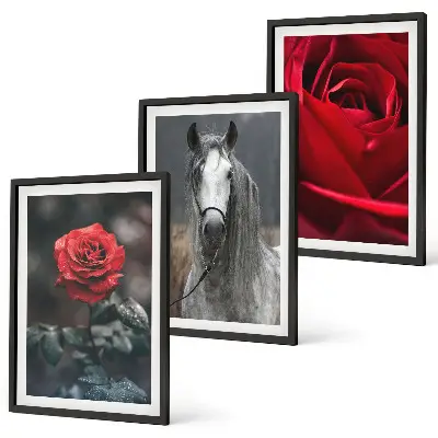 Conjunto de 3 quadros com moldura estampa de rosas vermelhas e cavalo cinza em um mundo