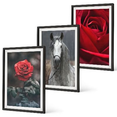 Conjunto de 3 quadros com moldura Rosas vermelhas cavalo cinza mundo