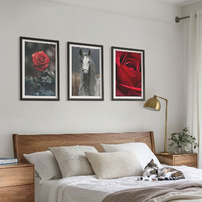 Conjunto de 3 quadros com moldura Rosas vermelhas cavalo cinza mundo
