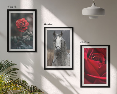 Conjunto de 3 quadros com moldura Rosas vermelhas cavalo cinza mundo