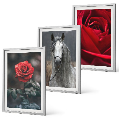 Conjunto de 3 quadros com moldura Rosas vermelhas cavalo cinza mundo