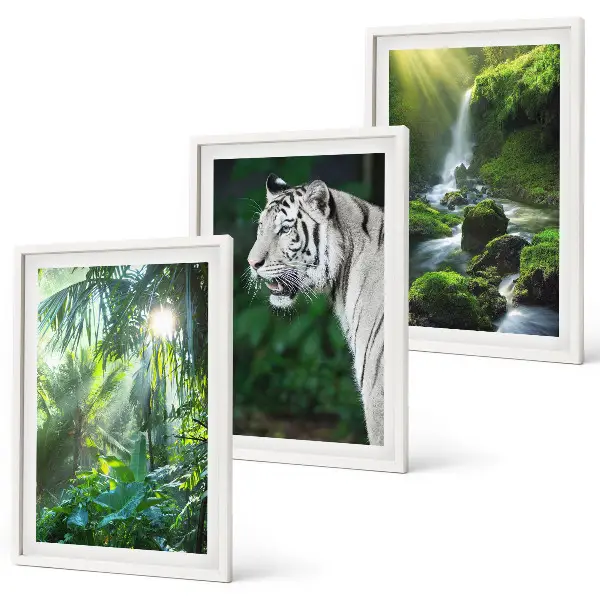 Conjunto de 3 quadros com moldura estampa de cachoeira e tigre na selva