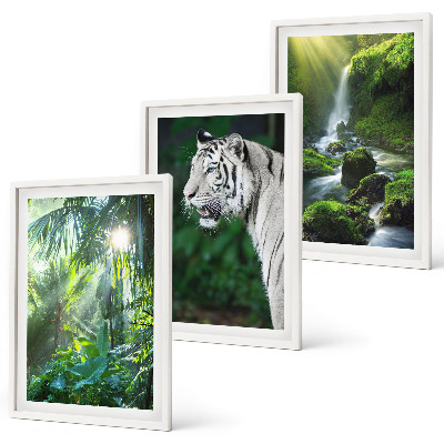 Conjunto de 3 quadros com moldura Cachoeira do tigre da selva