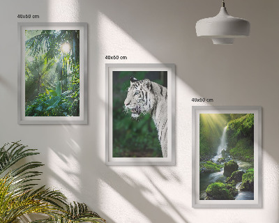 Conjunto de 3 quadros com moldura Cachoeira do tigre da selva