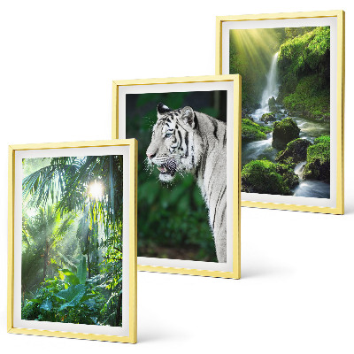 Conjunto de 3 quadros com moldura Cachoeira do tigre da selva