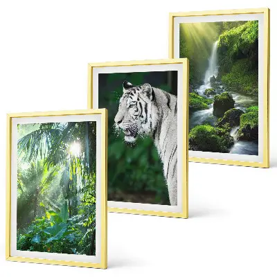 Conjunto de 3 quadros com moldura estampa de cachoeira e tigre na selva