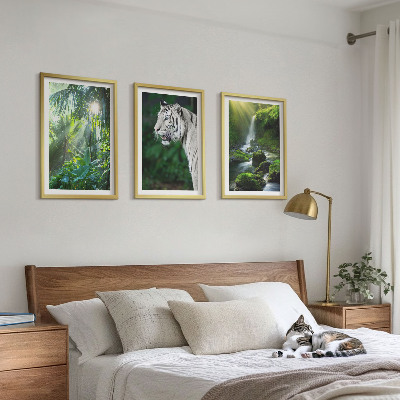 Conjunto de 3 quadros com moldura Cachoeira do tigre da selva