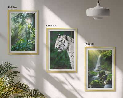 Conjunto de 3 quadros com moldura Cachoeira do tigre da selva