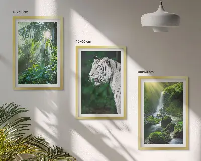 Conjunto de 3 quadros com moldura estampa de cachoeira e tigre na selva