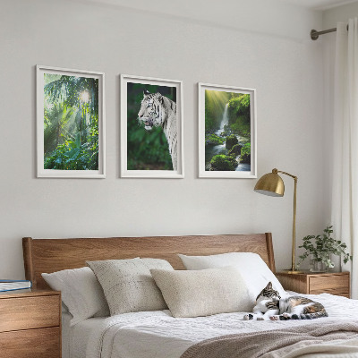 Conjunto de 3 quadros com moldura Cachoeira do tigre da selva