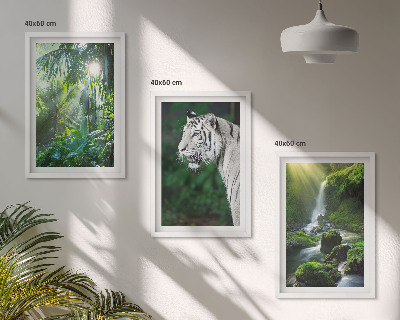 Conjunto de 3 quadros com moldura Cachoeira do tigre da selva