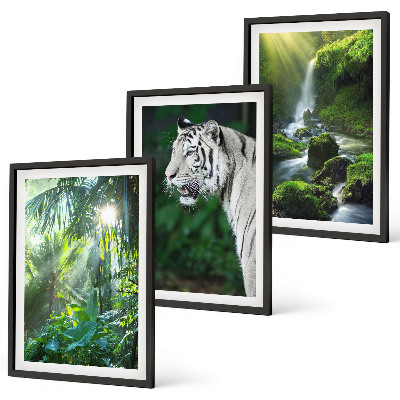 Conjunto de 3 quadros com moldura Cachoeira do tigre da selva