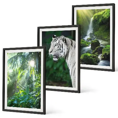 Conjunto de 3 quadros com moldura estampa de cachoeira e tigre na selva